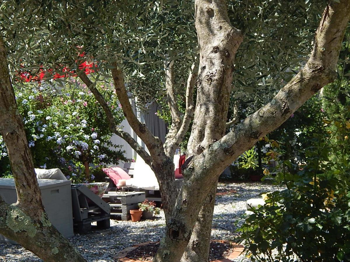 B&B Pie Del Castello Levanto Exterior photo