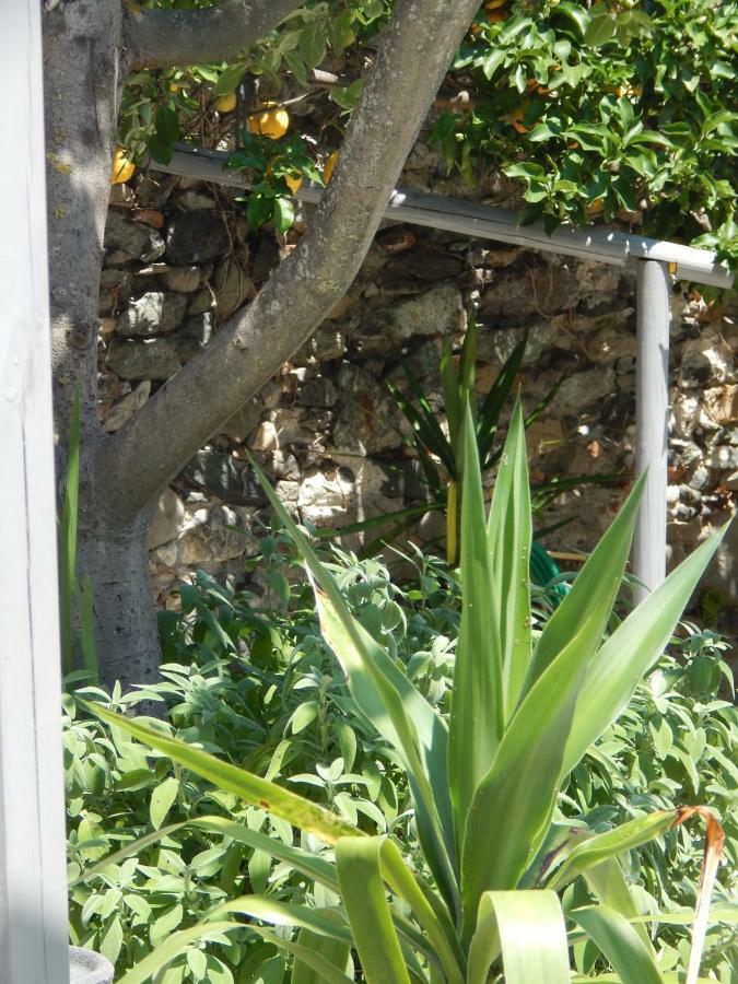 B&B Pie Del Castello Levanto Exterior photo